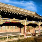 Mongolia 51