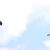 Błotniak łąkowy, Montagu`s Harrier, Circus pygargus, Bojanów, SLK, 02.05.2025 (Polska, Poland) (3)